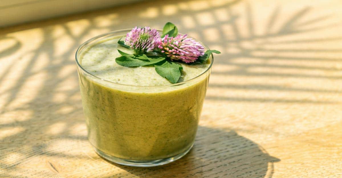 Delicious Smoothies to Kickstart Your Fat-Burning Journey