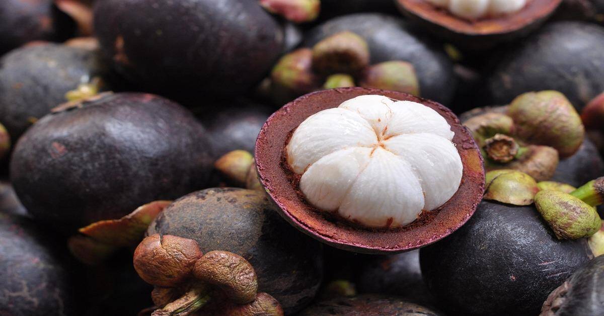 Mangosteen: The Queen of Fruits and Its Exotic Appeal