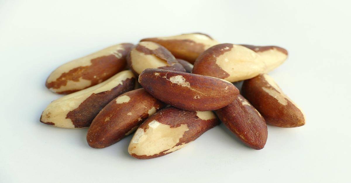 The Nutritional Power of Brazil Nuts: A Small Snack with Big Benefits
