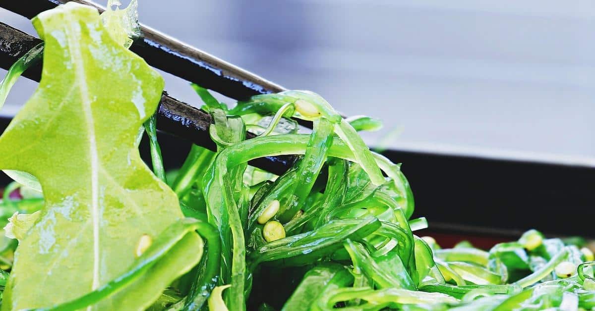 Seaweed and Your Health: A Natural Nutritional Boost