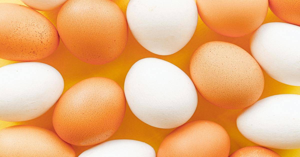 Egg-cellent Nutrition: Why This Breakfast Staple Is a Health Hero