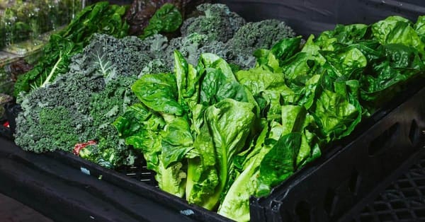 How to Keep Leafy Greens Fresh for Longer
