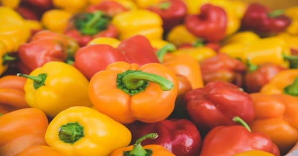 Bell Peppers: A Colorful Superfood Packed with Nutritional Benefits