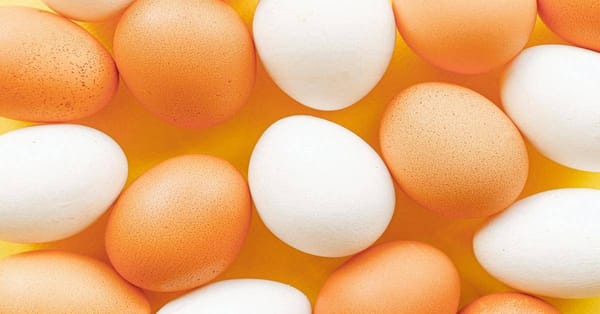 Egg-cellent Nutrition: Why This Breakfast Staple Is a Health Hero
